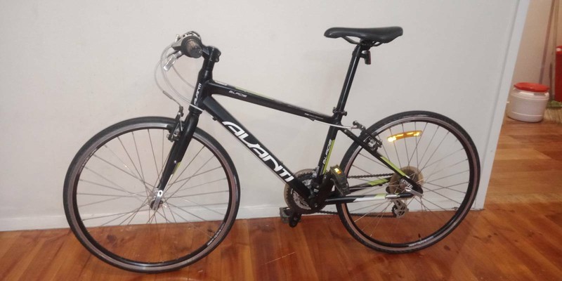 avanti flat bar road bike